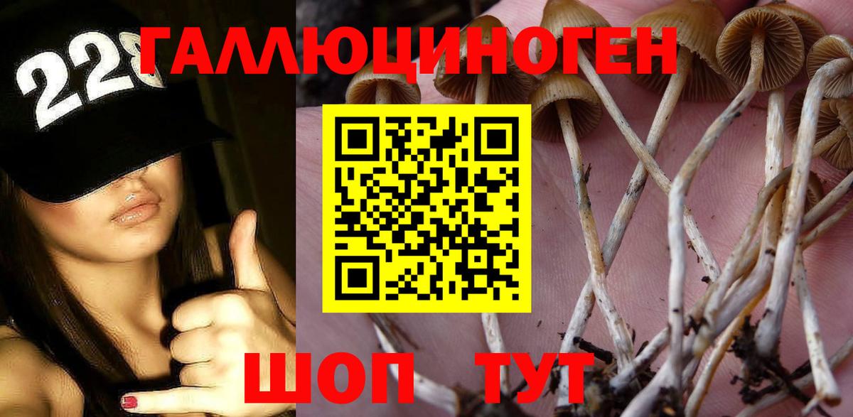 Галлюциногенные грибы Psilocybine cubensis Джанкой